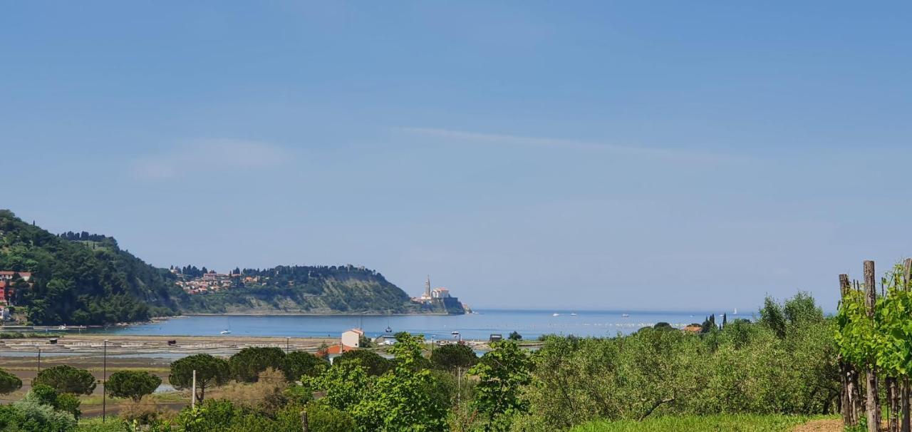 Apartma Nana Strunjan Portorož Exterior foto